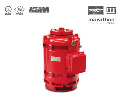 VERTICAL HOLLOWSHAFT MOTOR – WP1